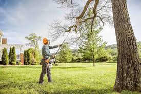 Best Lawn Mowing  in Hillcrest Heights, MD