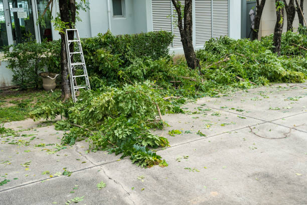 Best Commercial Tree Services  in Hillcrest Heights, MD